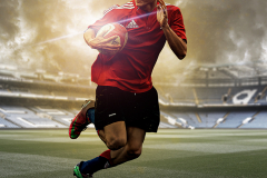 rugbywing